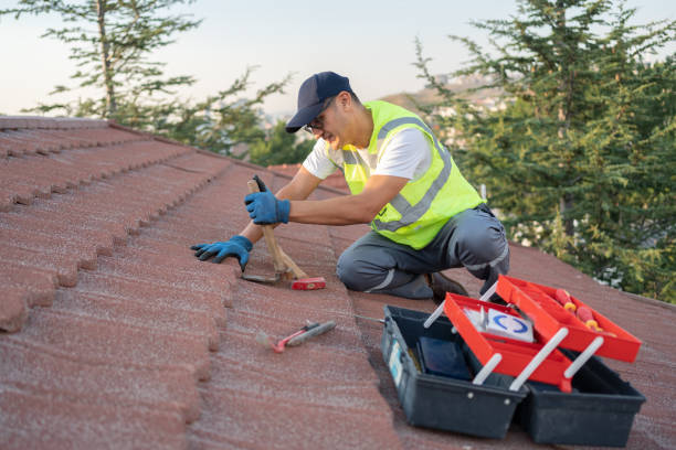 Roof Gutter Cleaning in Rosanky, TX
